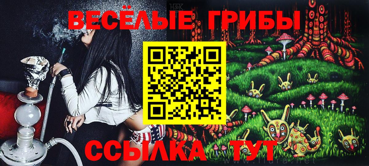 Тольятти  Псилоцибиновые грибы прущие грибы  Вход с VPN 