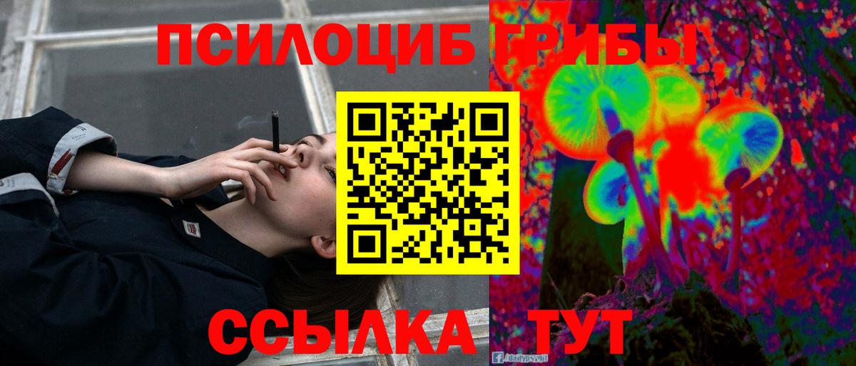 Псилоцибиновые грибы прущие грибы Тольятти